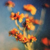 IMG_7773-3000x3000